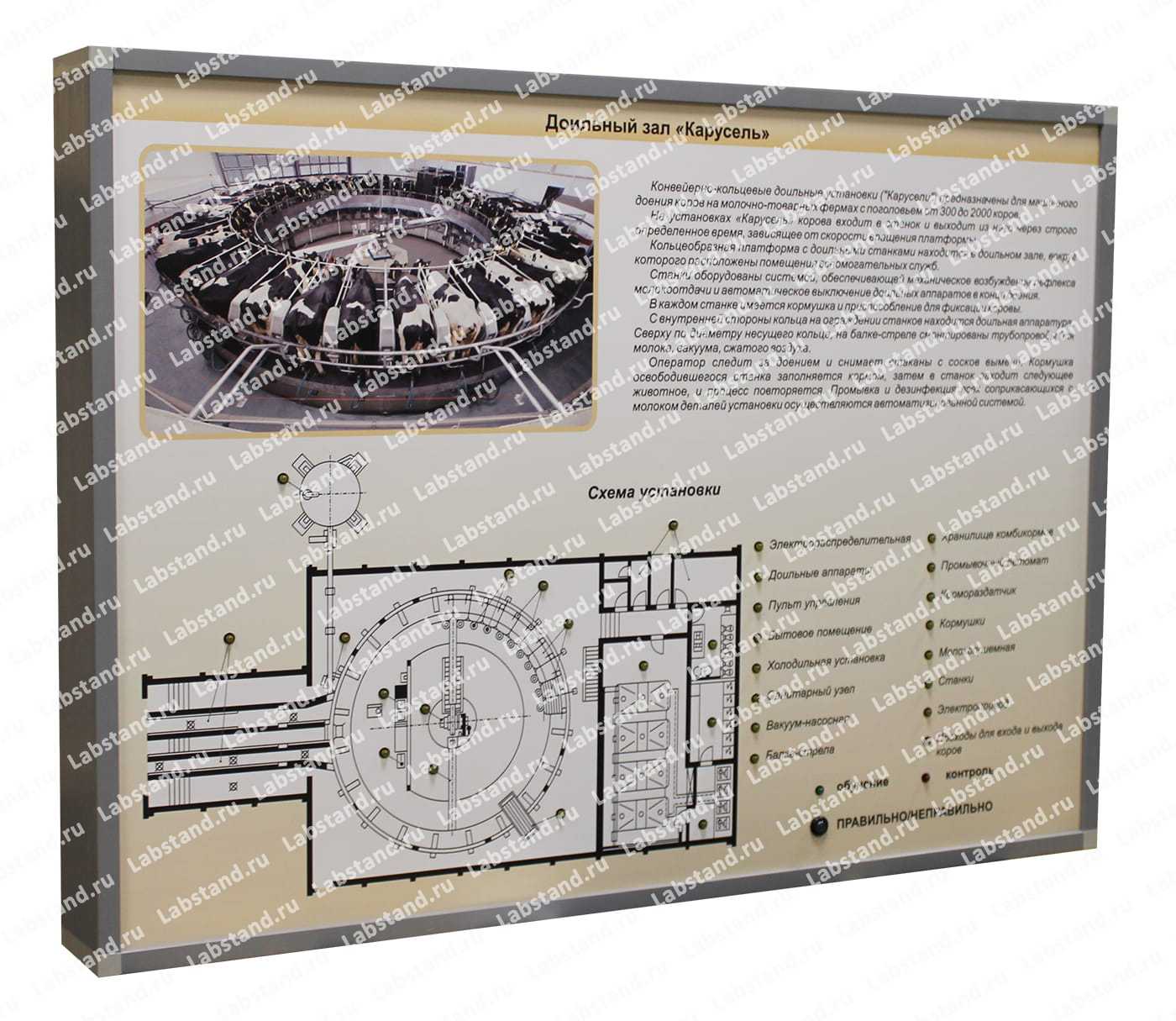 05.05.03.34 Стенд-планшет «Доильный зал Карусель»