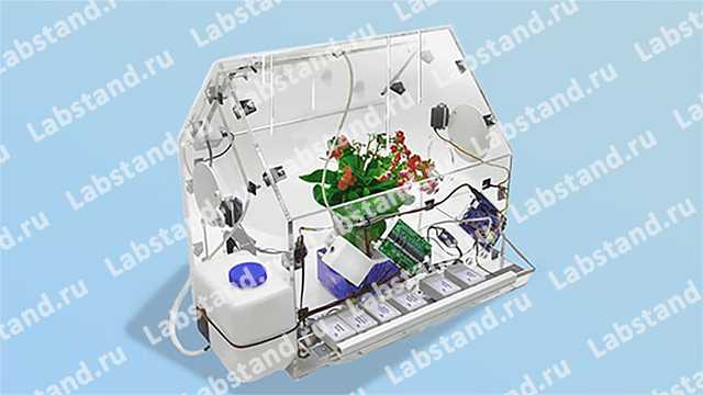 Интернет вещей в сельском хозяйстве