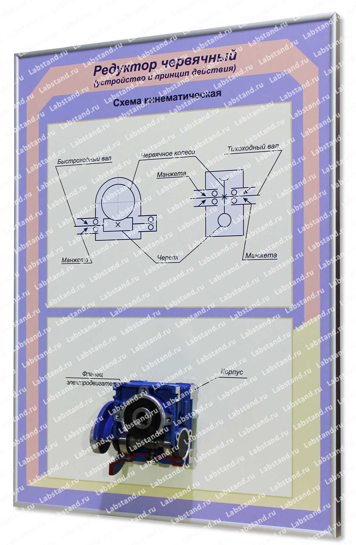Стенд-планшет «Редуктор червячный»