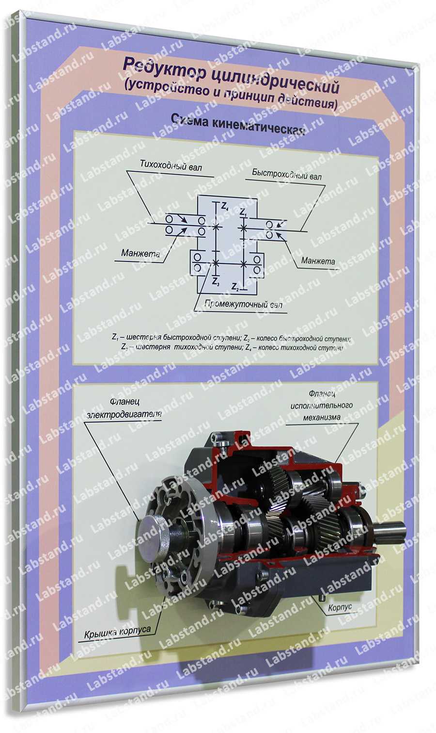 Стенд-планшет «Редуктор цилиндрический»