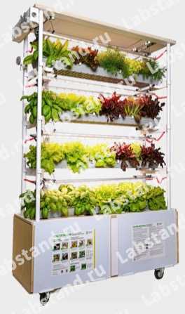 09.01.00.09 Учебно-лабораторный стенд «Гидропонная установка. Почвы и рост растений» МАКСИ