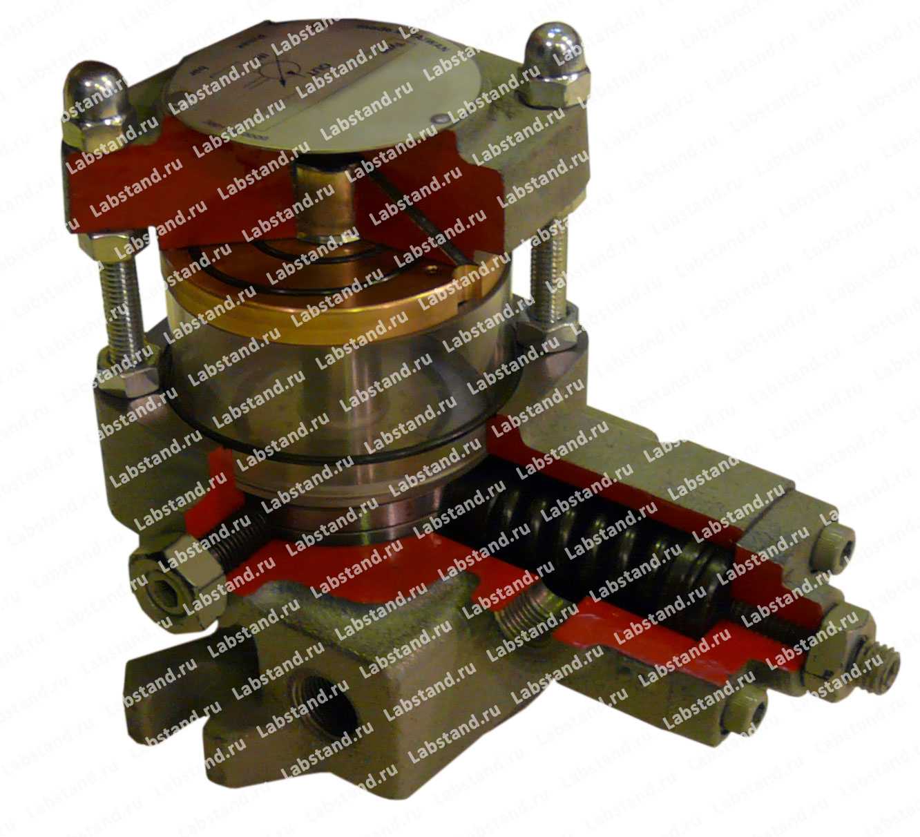 Разрезная модель насоса пластинчатого регулируемого