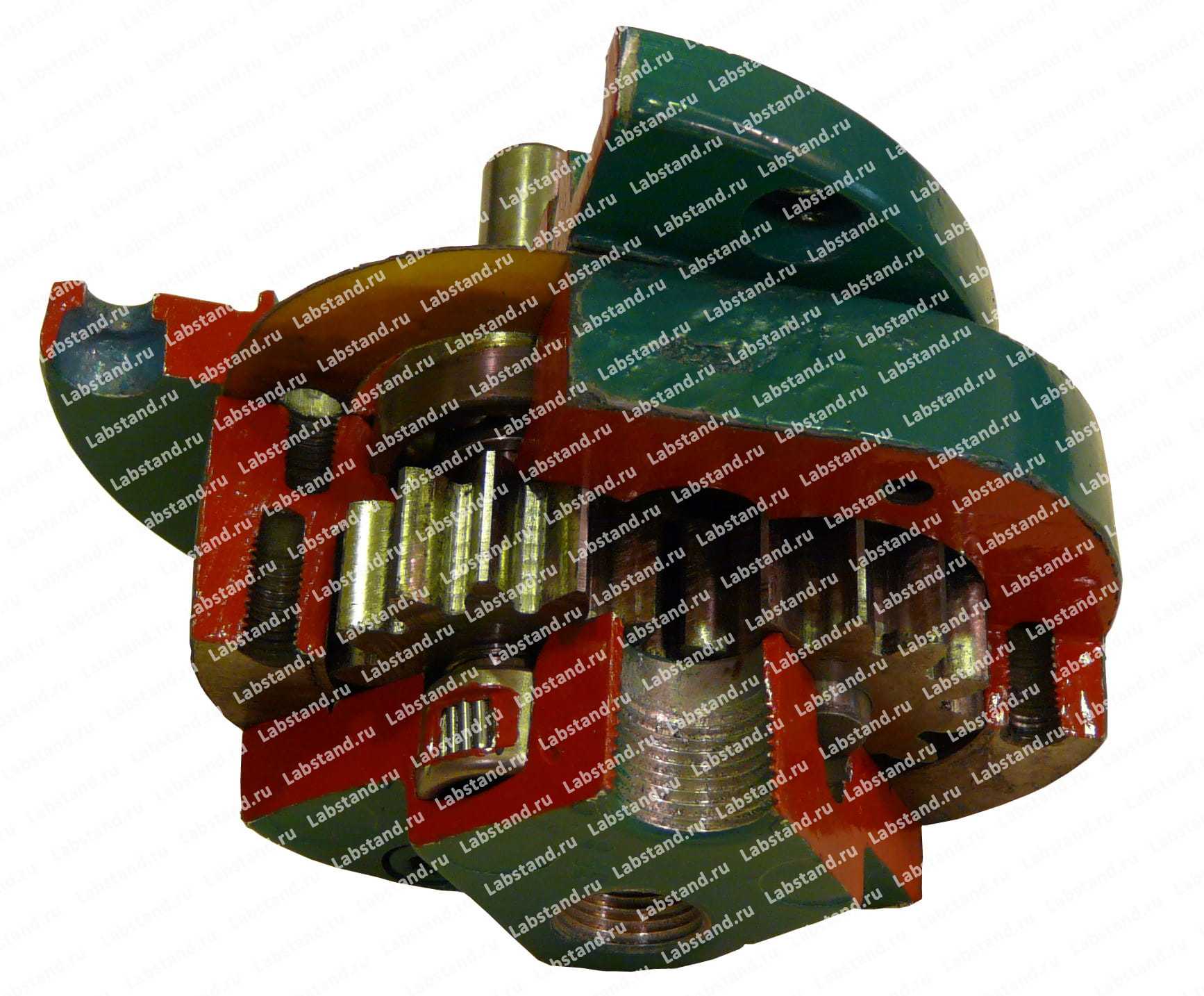 Разрезная модель насоса шестеренного для смазки