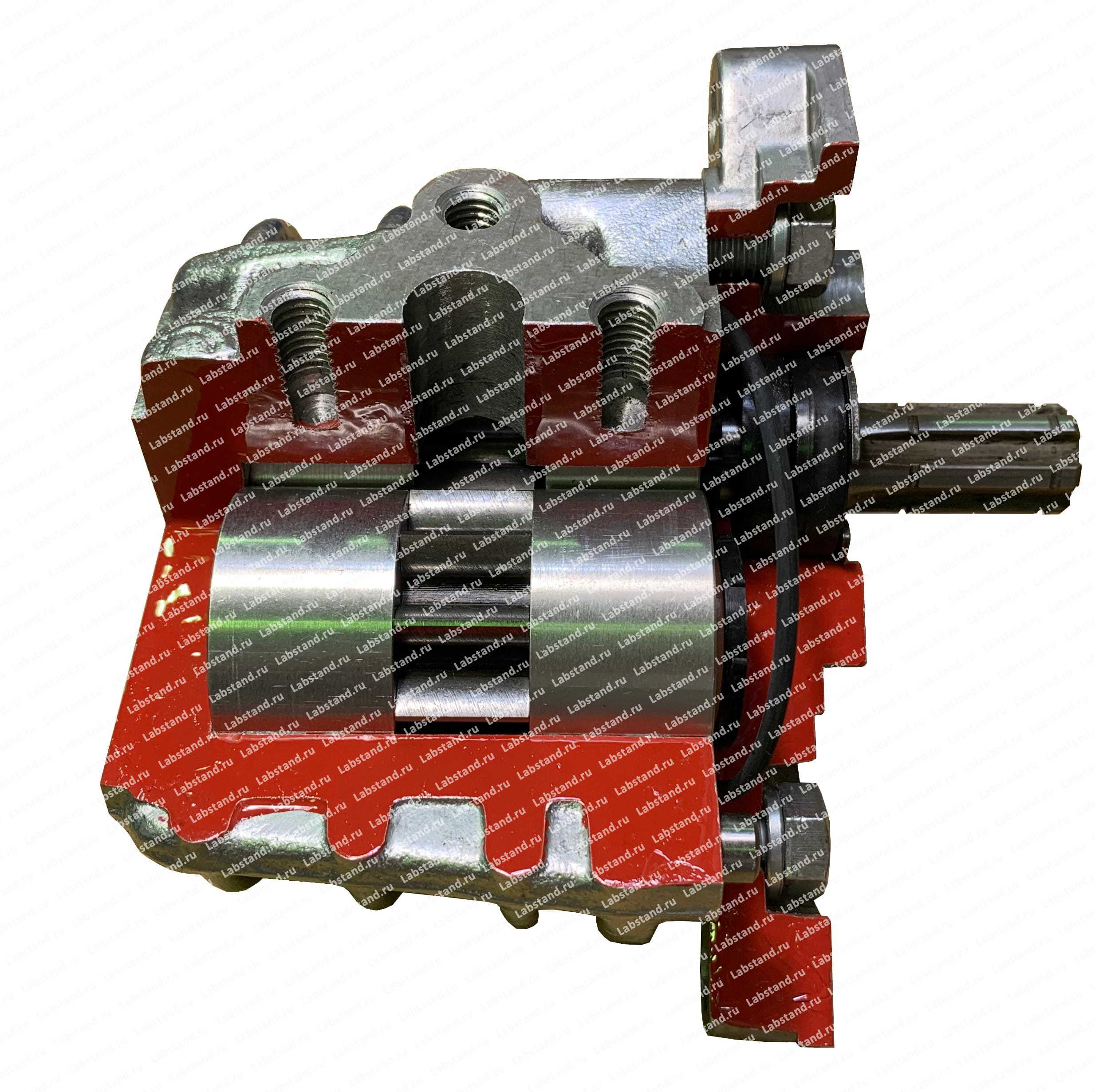 Разрезная модель насоса шестеренного